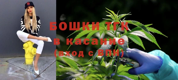 a pvp Абаза