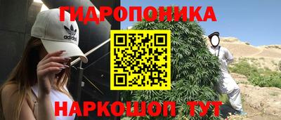 jwh Боровичи