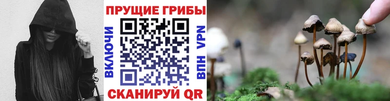 Псилоцибиновые грибы Magic Shrooms  наркотики  Барнаул 