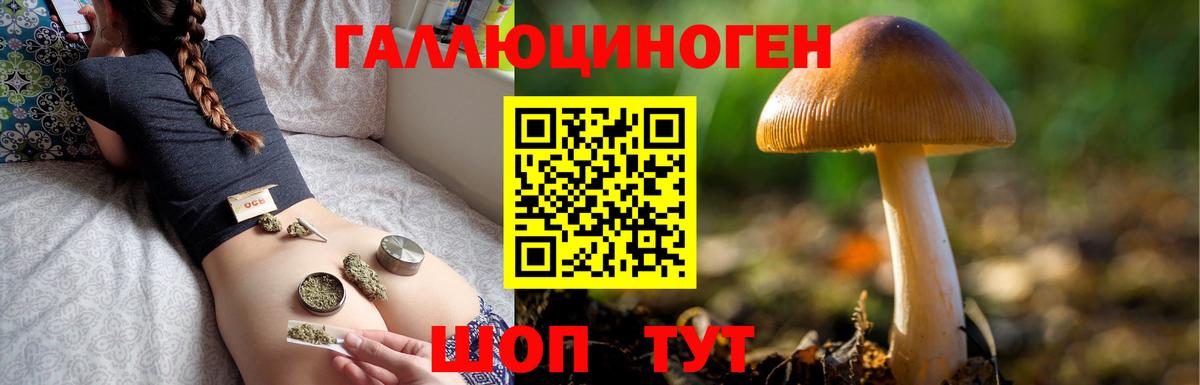 Барнаул  Галлюциногенные грибы мухоморы  Вход с VPN 